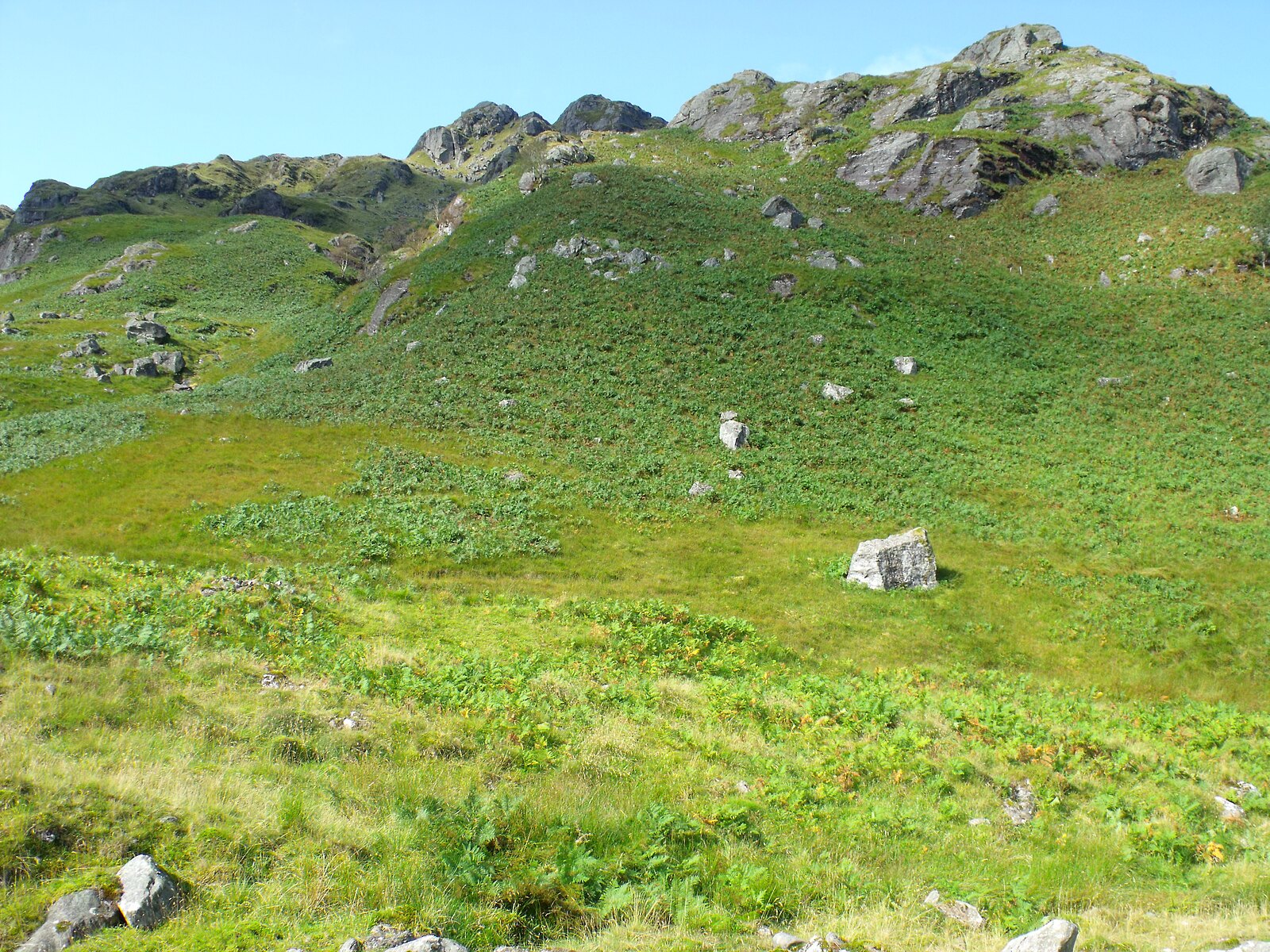 Bracken-covered slopes on the lower flank of Beinn Ducteach in Glen Gyle, with rocky outcrops breaking through the green, and a craggy ridgeline along the top against a clear blue sky.