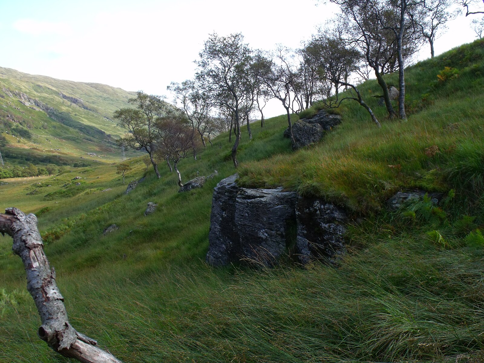 A weathered slate-grey rock outcrop on a grassy slope in Glen Gyle, with birch trees rising above it and the glen falling away to the left under a pale sky.