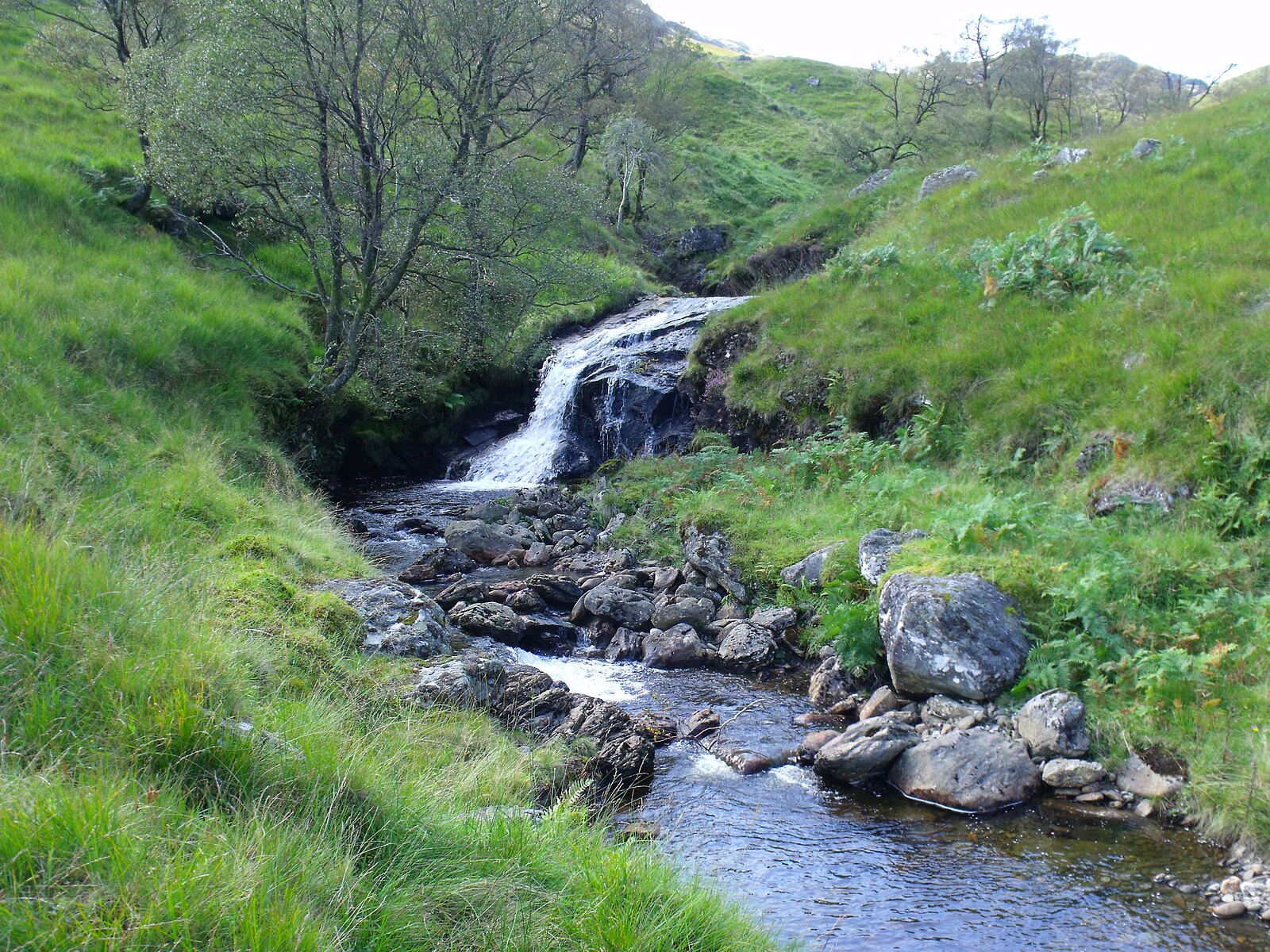 A small waterfall on Lag a' Chuirn dropping into a rocky pool, with overhanging rowan and birch and grassy banks on either side.