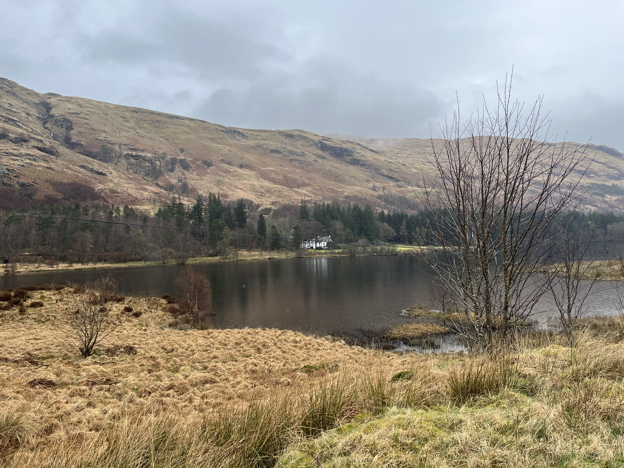 Glengyle House, a white house among trees on the far shore, seen across the still head of Loch Katrine from the rough grass at the mouth of Glen Gyle, with hill slopes rising behind it.