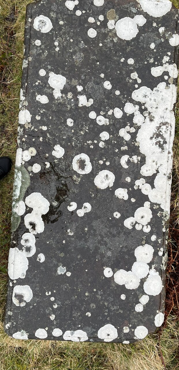 A single recumbent grave slab seen from above and turned upright, its surface mottled with lichen, with worn carved lettering still faintly visible at the lower left.