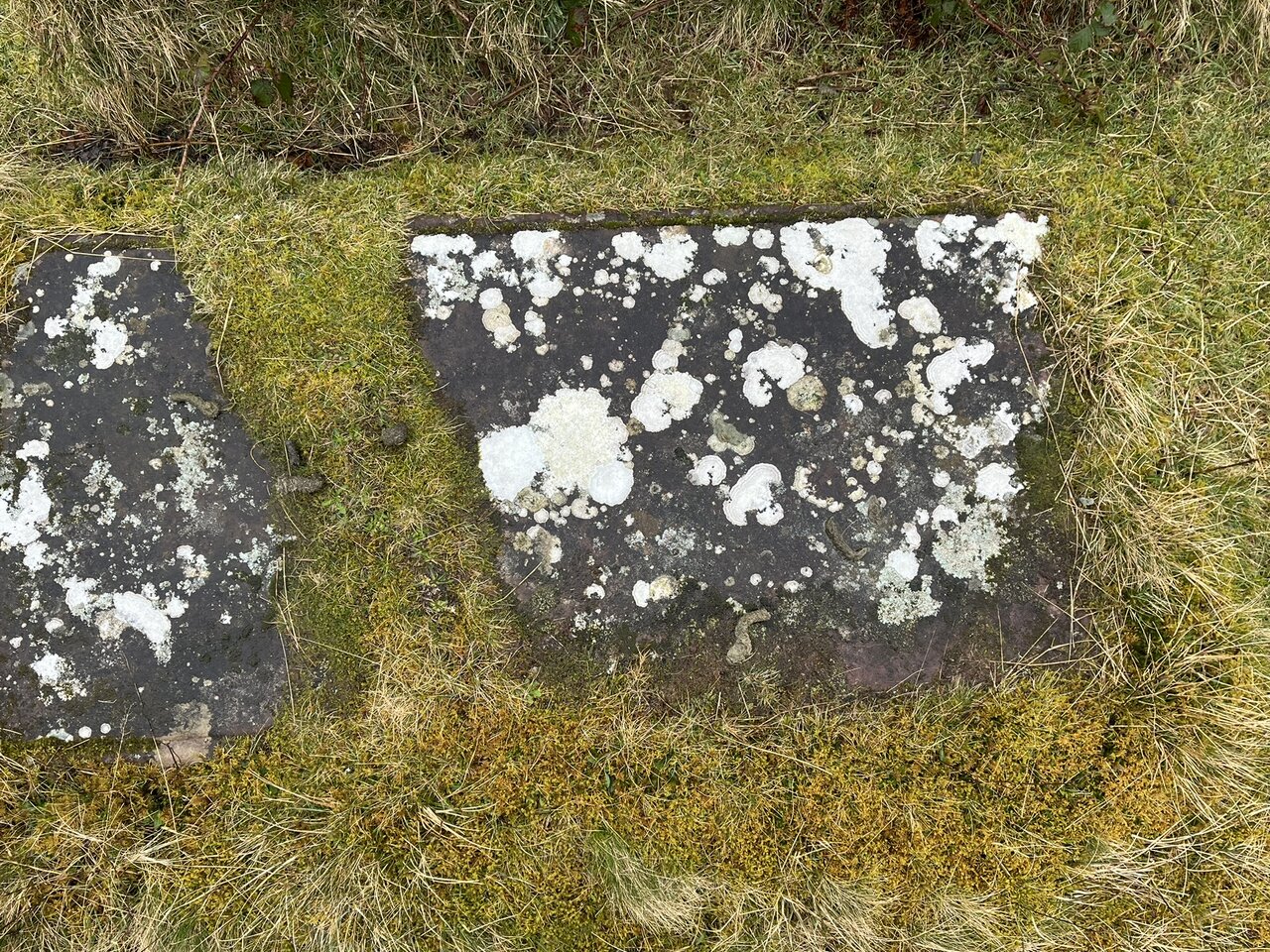 Two recumbent grave slabs seen from above, set side by side in the turf and heavily mottled with white lichen.