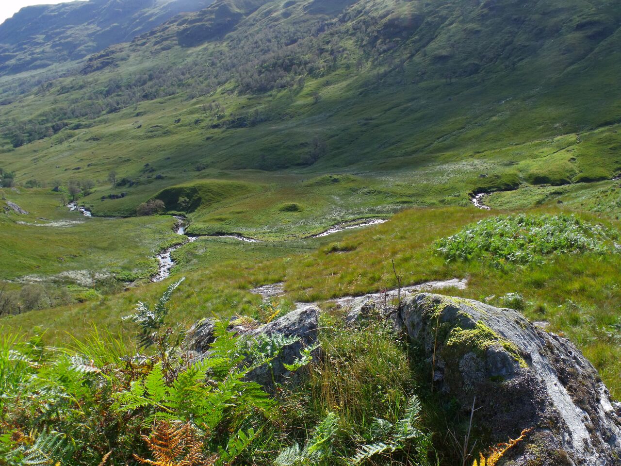 Looking down the upper glen from above the burn, where Lag a' Chuirn becomes Glengyle Water - rocky moorland and ferns in the foreground, the glen falling away towards Loch Katrine in the distance.